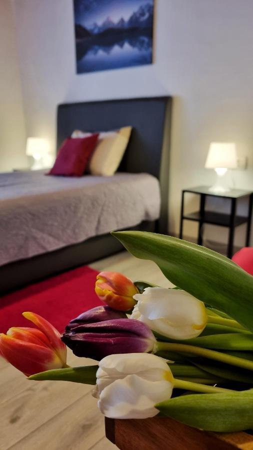 Apartment Stradun In The Heart Of Old City Dubrovnik Eksteriør bilde