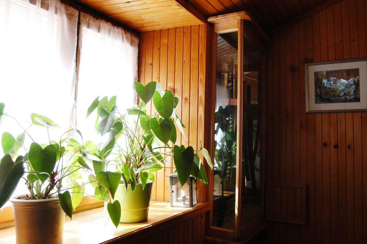 Apartment Stradun In The Heart Of Old City Dubrovnik Eksteriør bilde